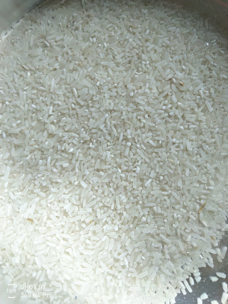 精品泰优390稻谷大量有货