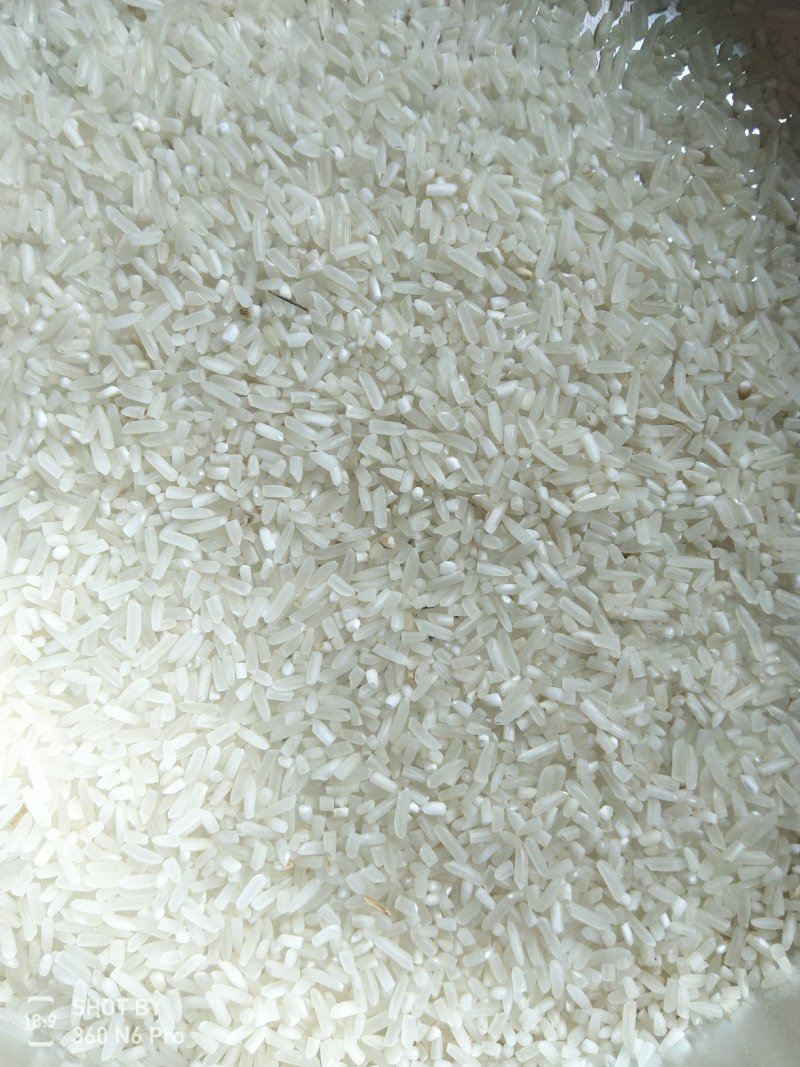 精品泰优390稻谷大量有货
