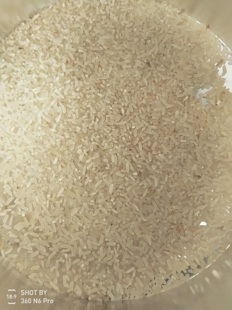 688优质稻谷大量有货