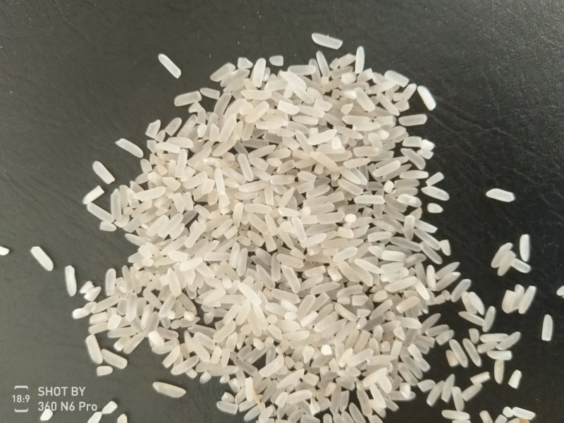 688优质稻谷大量有货