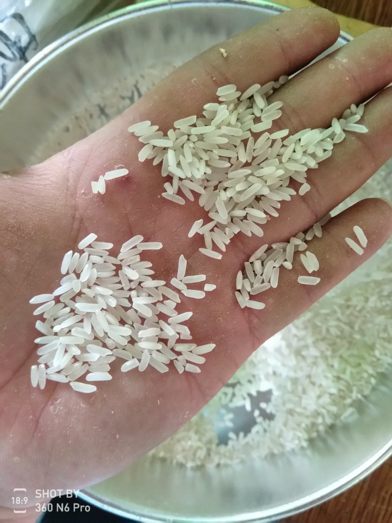 金优534精品稻谷大量有货