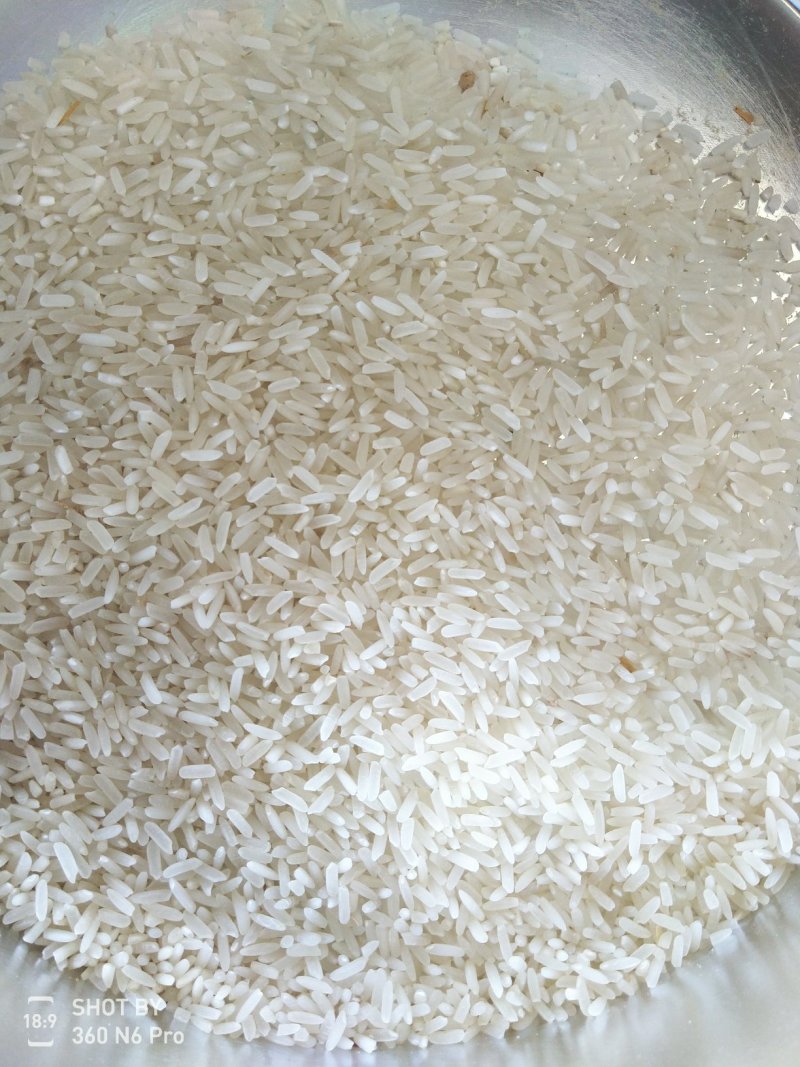 金优534精品稻谷大量有货