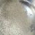 金优534精品稻谷大量有货
