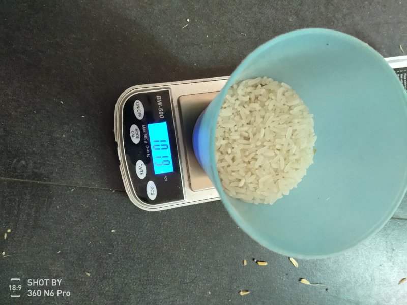 金优534精品稻谷大量有货