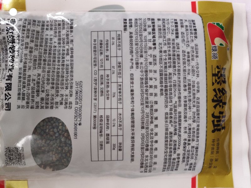 菠菜种子绿领墨绿强菠菜种子