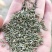香料，种子，孜然籽，