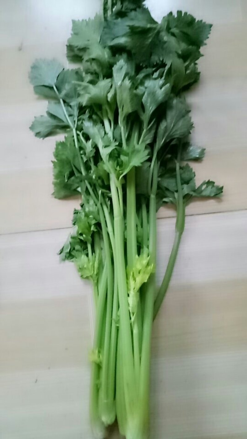 优质芹菜大量上市中！大量有货！需要的客户速联系我！