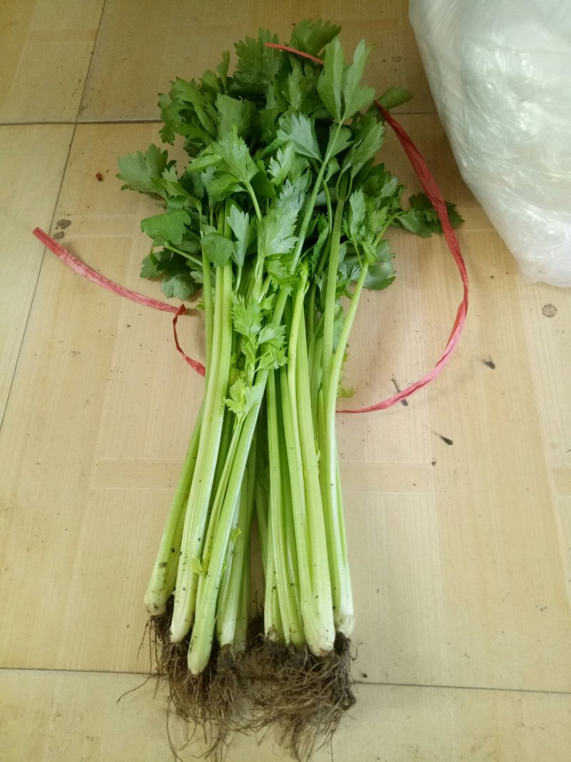 优质芹菜大量上市中！大量有货！需要的客户速联系我！