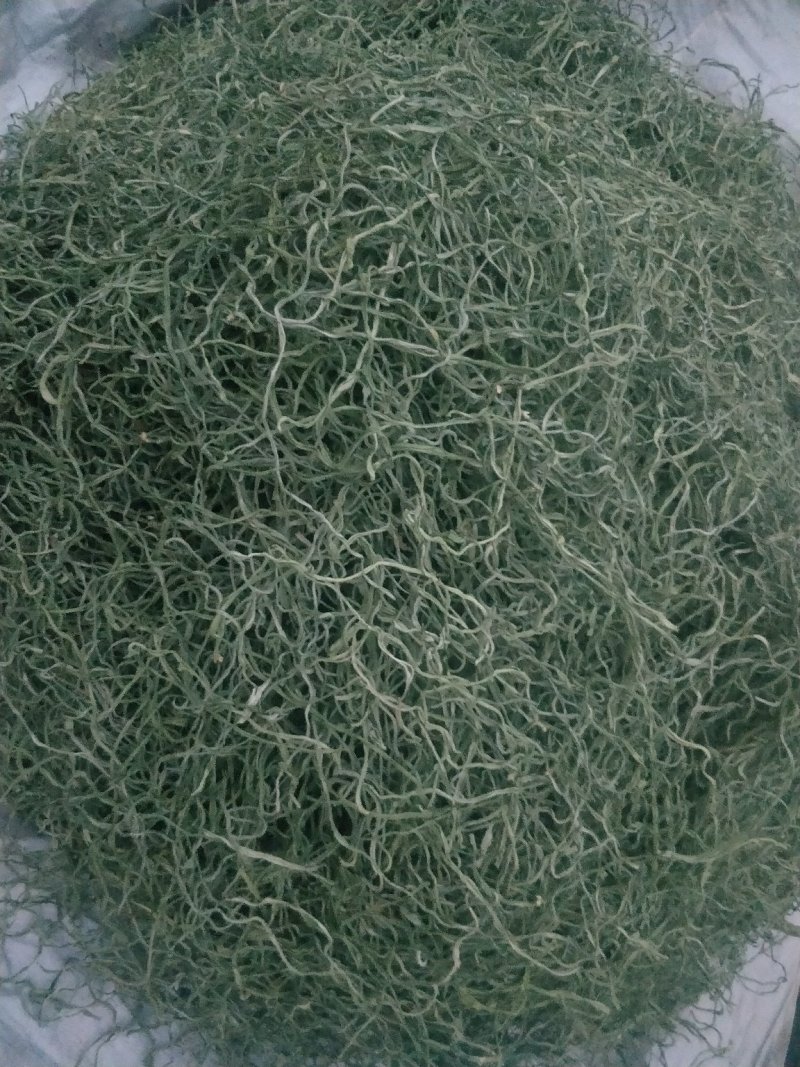 精品长豆角
