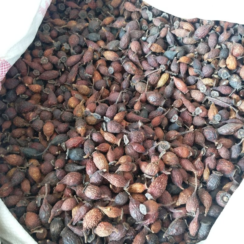 振兴药材批发供应金樱子规格齐全产地直供一手货源全国发货