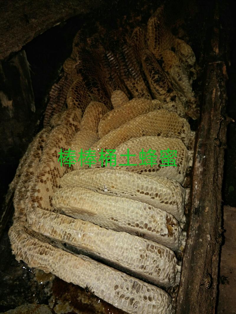 【推荐】蜂蜜秦岭深山原产地优质土蜂蜜留坝蜂蜜百花蜜
