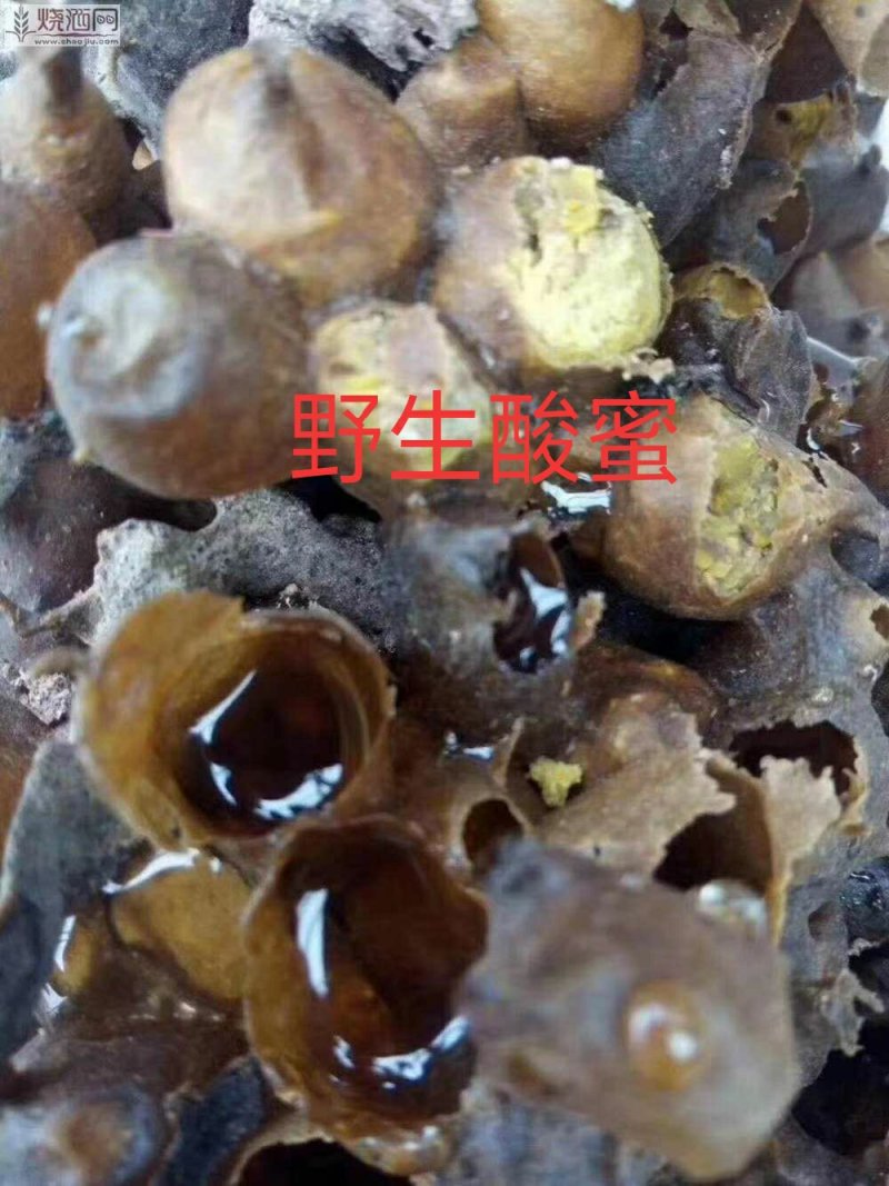 野生酸蜂蜜，天然土酸蜜，正真的纯酸蜜，没任何勾兑