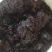 野生酸蜂蜜，天然土酸蜜，正真的纯酸蜜，没任何勾兑