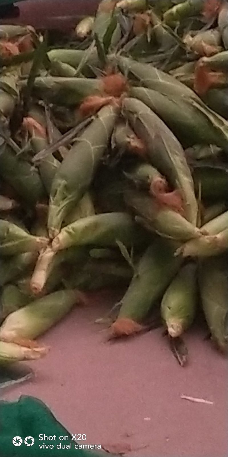 粘玉米，香甜可口，价格不高，