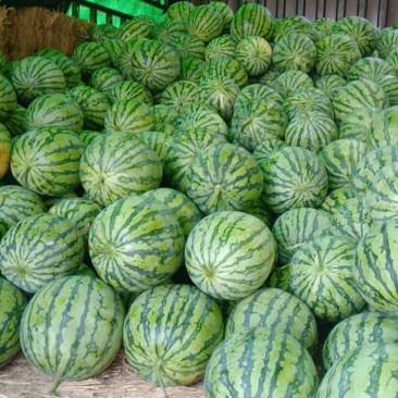 8424