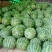 8424