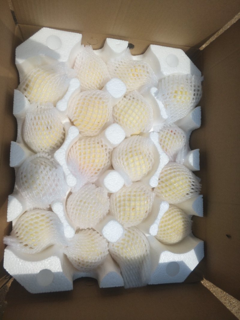 正宗阳山水蜜桃新鲜5斤当季孕妇水果包邮无锡软桃大果5