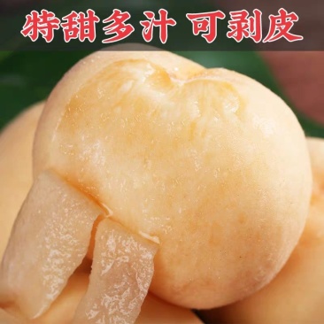 正宗阳山水蜜桃新鲜5斤当季孕妇水果包邮无锡软桃大果5
