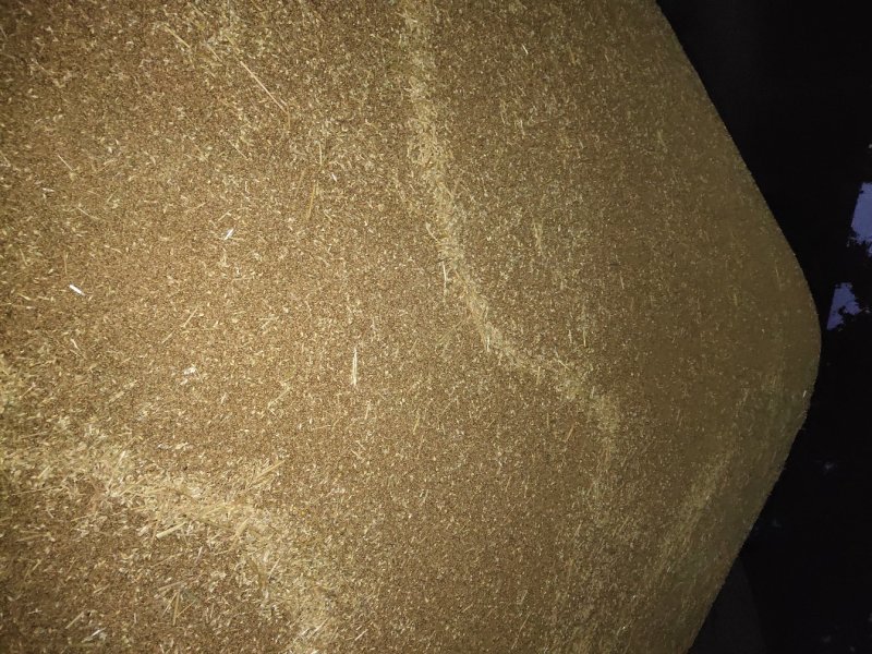 大量供应新小麦！