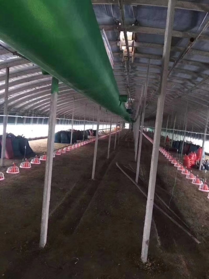 蒸发式冷风机厂房种植养殖降温设备