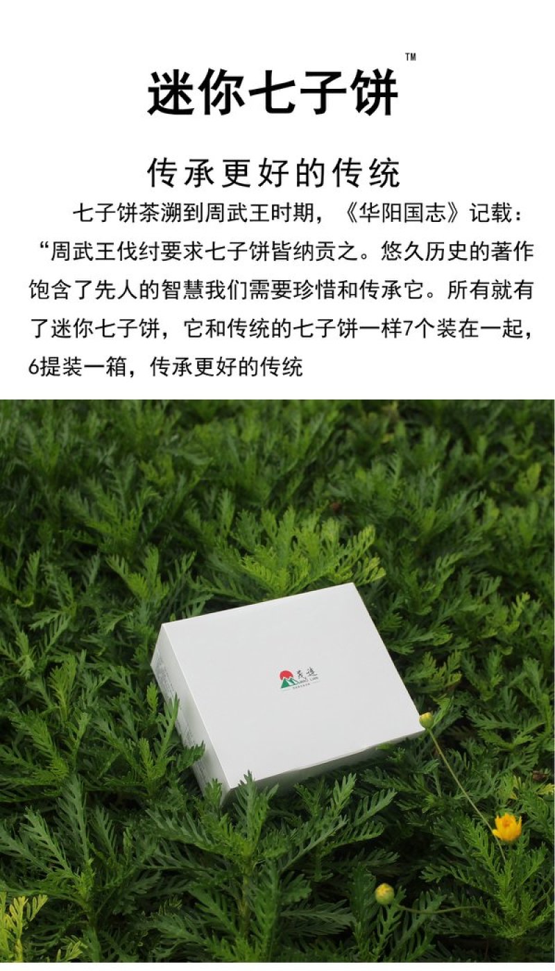 茂连普洱茶迷你七子饼茶玲珑饼古树生茶包邮大树茶老树茶乔木