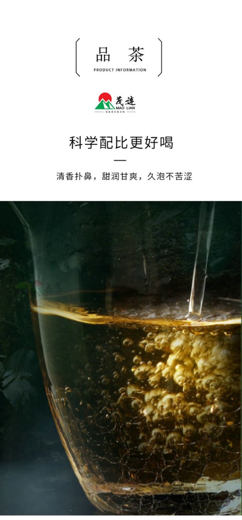 茂连普洱茶迷你七子饼茶玲珑饼古树生茶包邮大树茶老树茶乔木