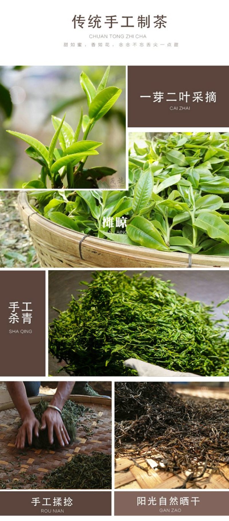 茂连普洱茶迷你七子饼茶玲珑饼古树生茶包邮大树茶老树茶乔木