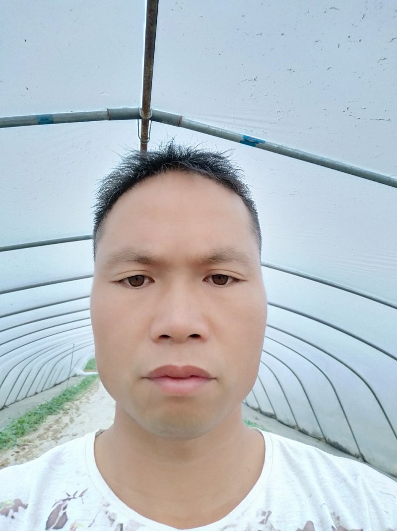 美都西瓜，七到十三斤，熟度好瓜形好