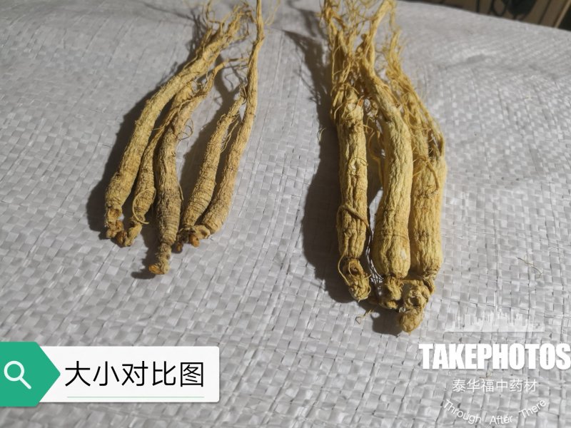 包邮人参白参生晒参东北吉林长白山