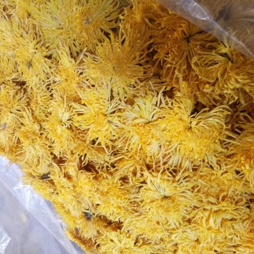 干花