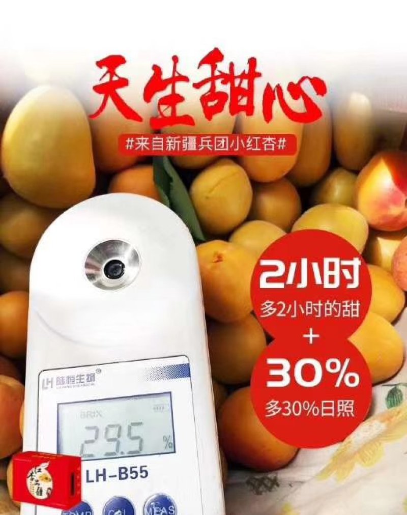 阿克苏4团吊干杏