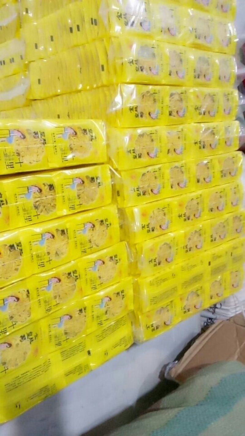 金丝皇菊