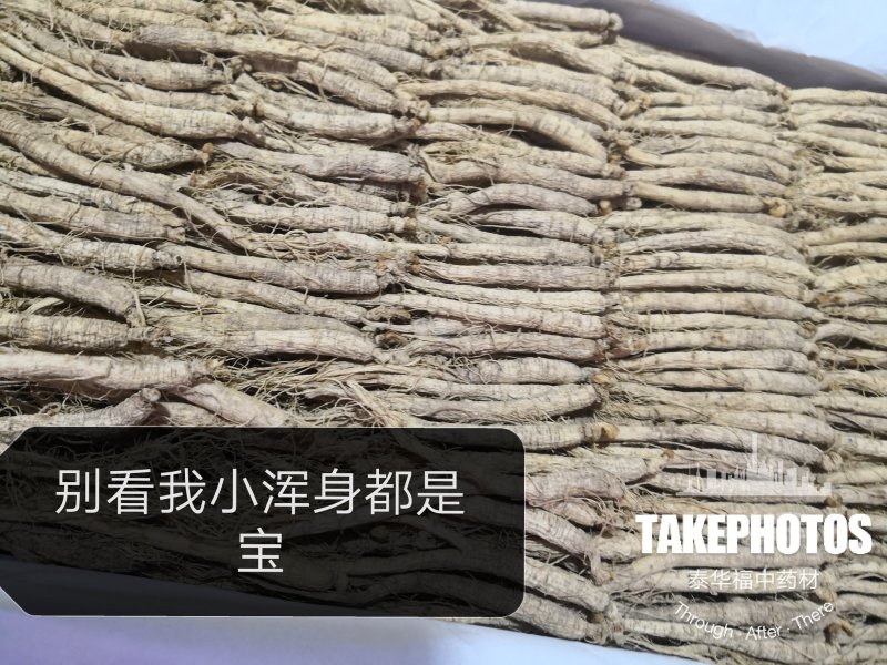 包邮人参白参生晒参东北吉林长白山