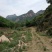 巟山