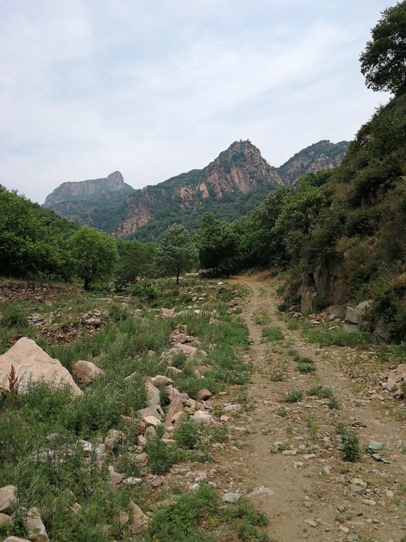 巟山