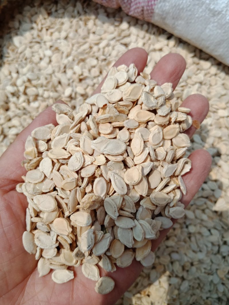 冬瓜子籽药用不是种子冬瓜籽批发零售各种规格中药材