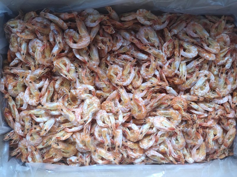 精品烤虾干，各种规格，一手加工，各种规格，常年供应