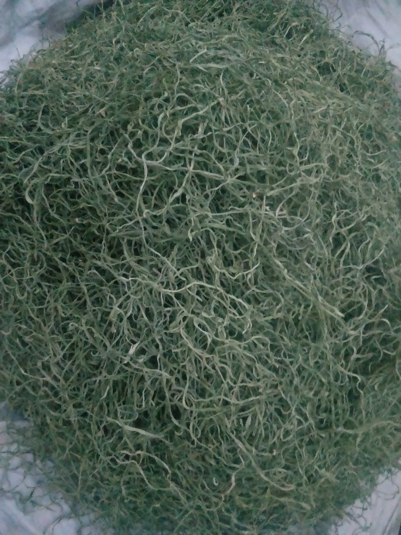精品干豆角
