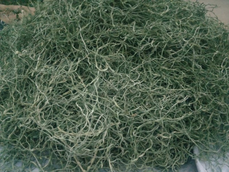 精品干豆角