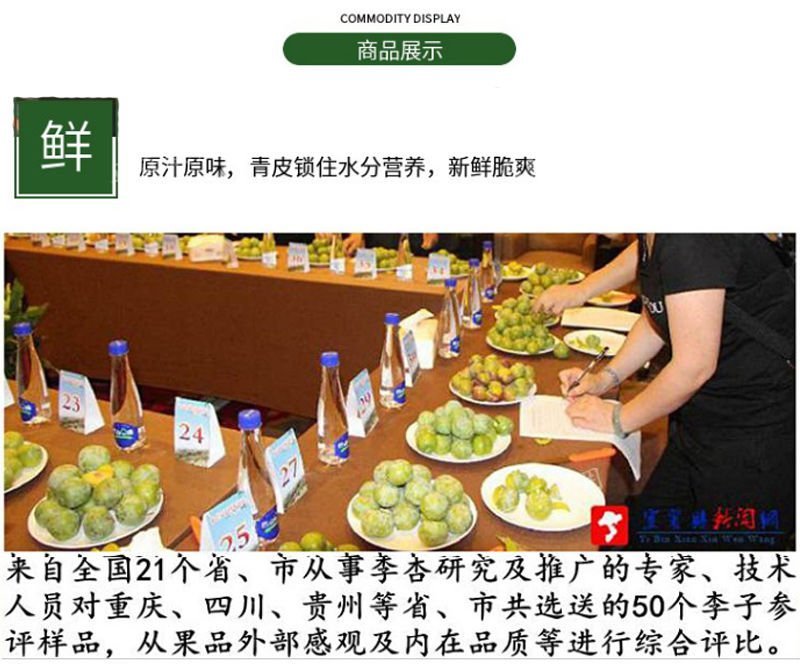 绥江特产李子半边红李子清脆香甜