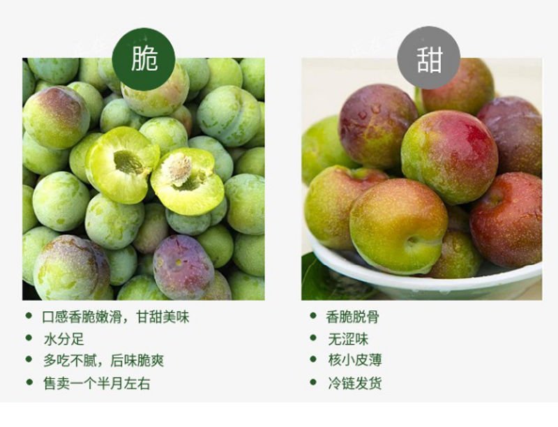 绥江特产李子半边红李子清脆香甜