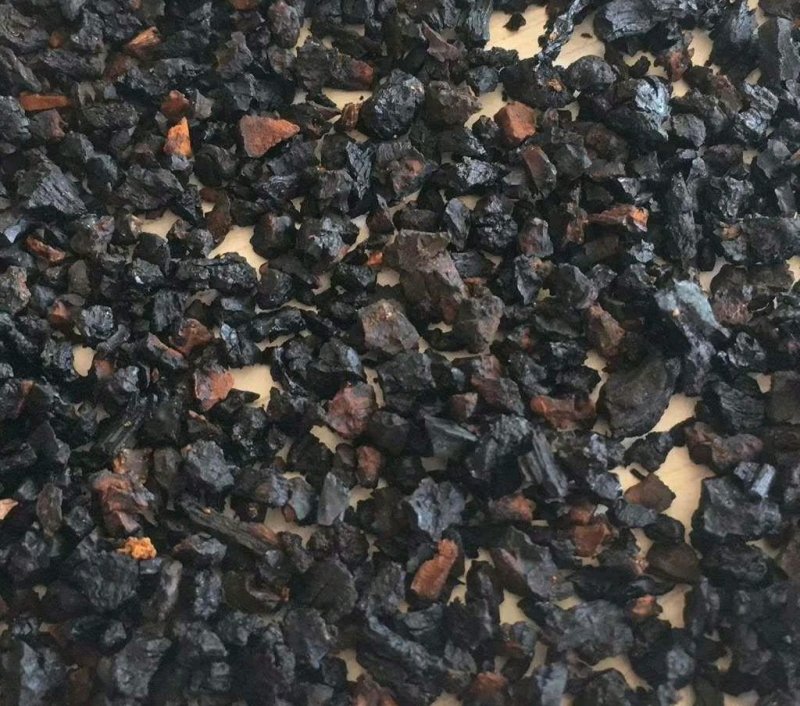 进口桦树茸恐喝菌