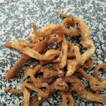 陕西道地药材，家种，野生黄精统货，自然刨制