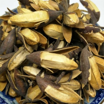 香椿子香铃子供应上千种中药材