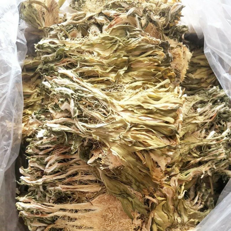 血竭花供应上千种中药材