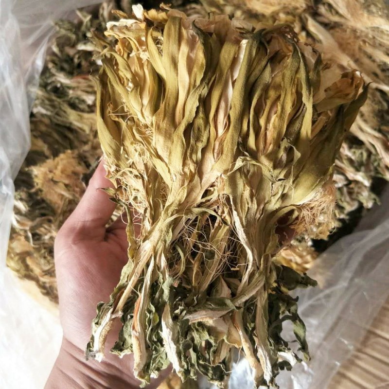 血竭花供应上千种中药材