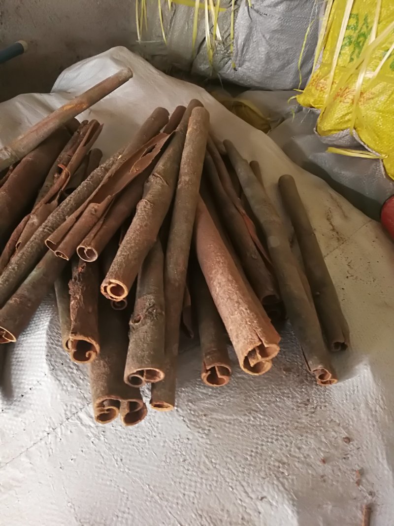 肉桂碎桂碎桂皮肉桂桂通烟桂桂皮碎片