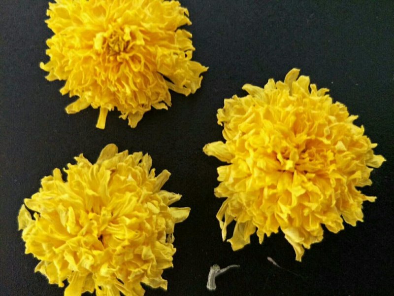 怀菊花