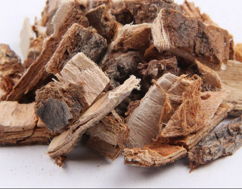 榆树皮品质保证供应上千种中药材