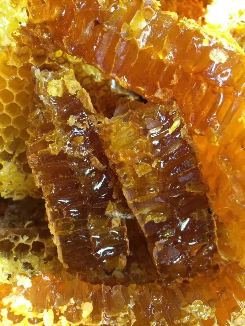特级野生蜂蜜